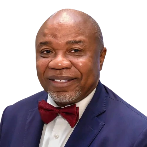 Engr. Albert Okechukwu Echibe portrait